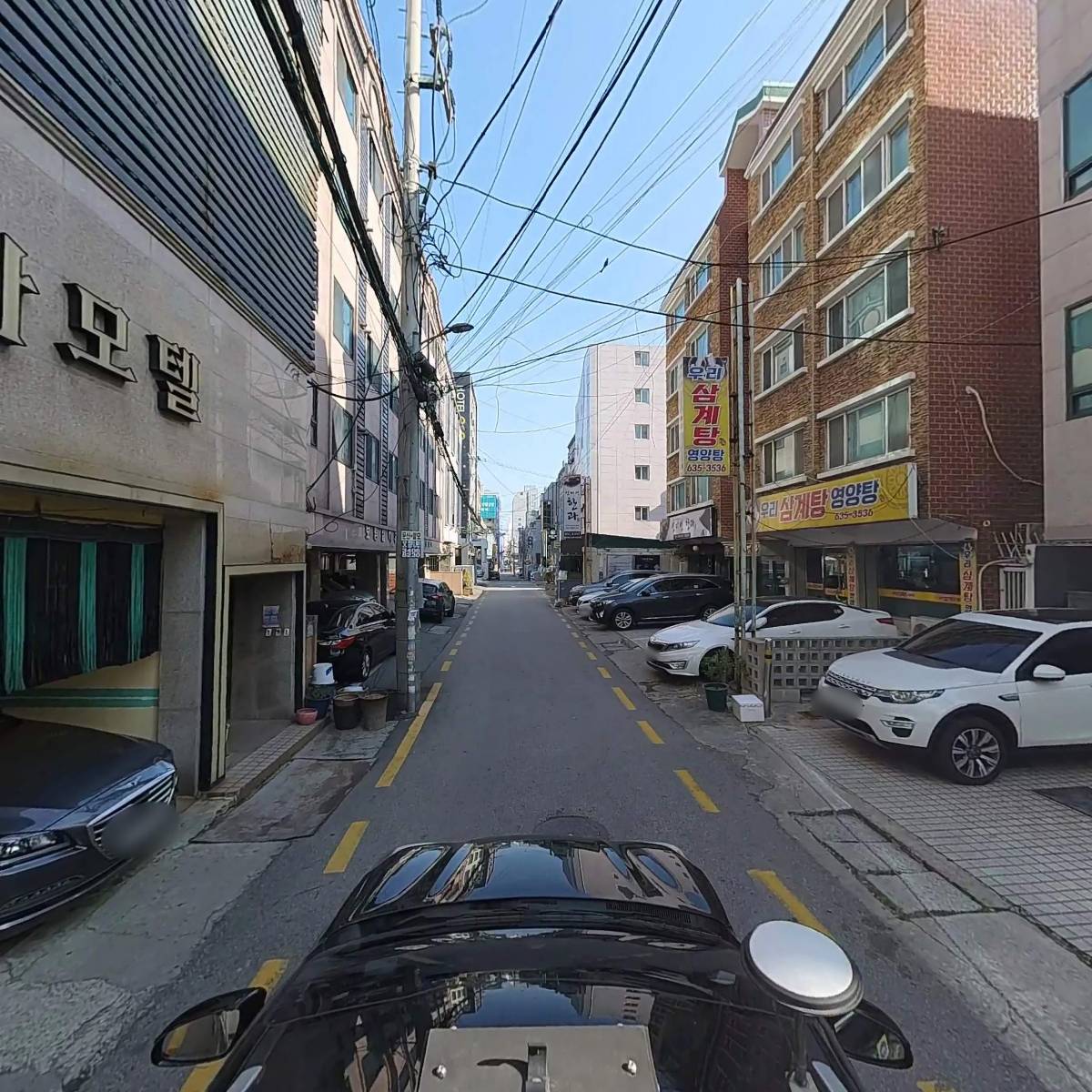팔로마_4