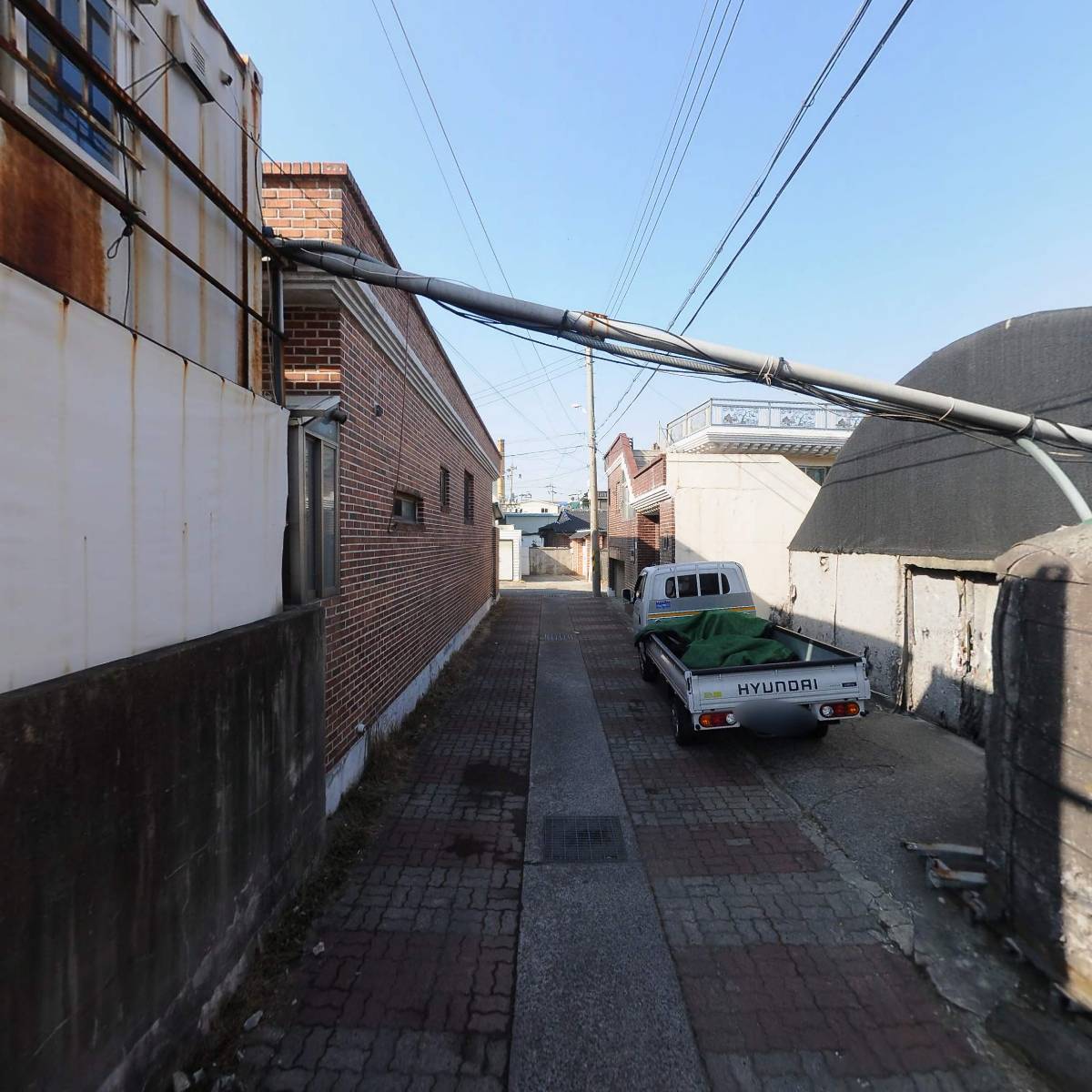 도동콩나물_2