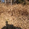 싸릿골농장_3