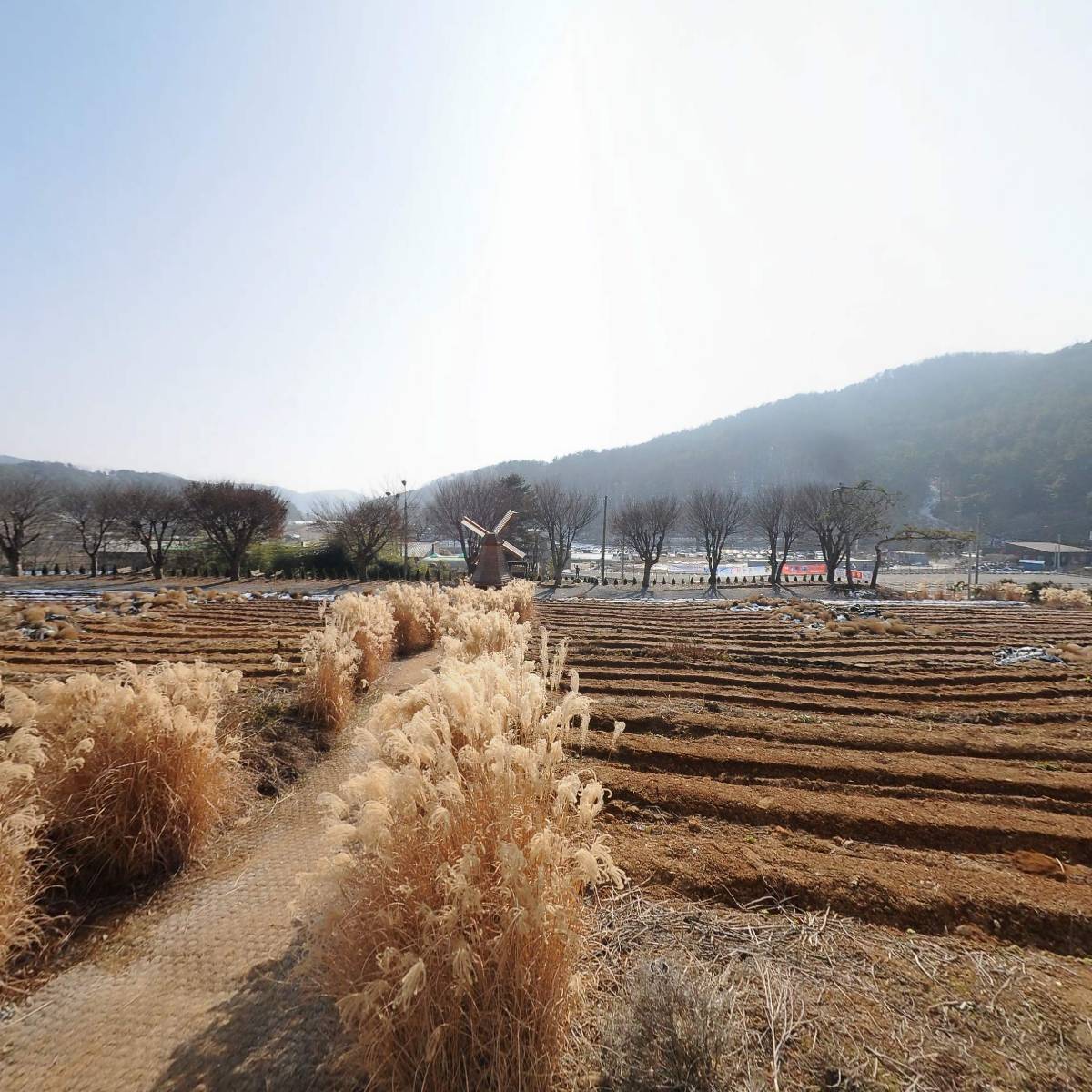 주식회사 도담케어