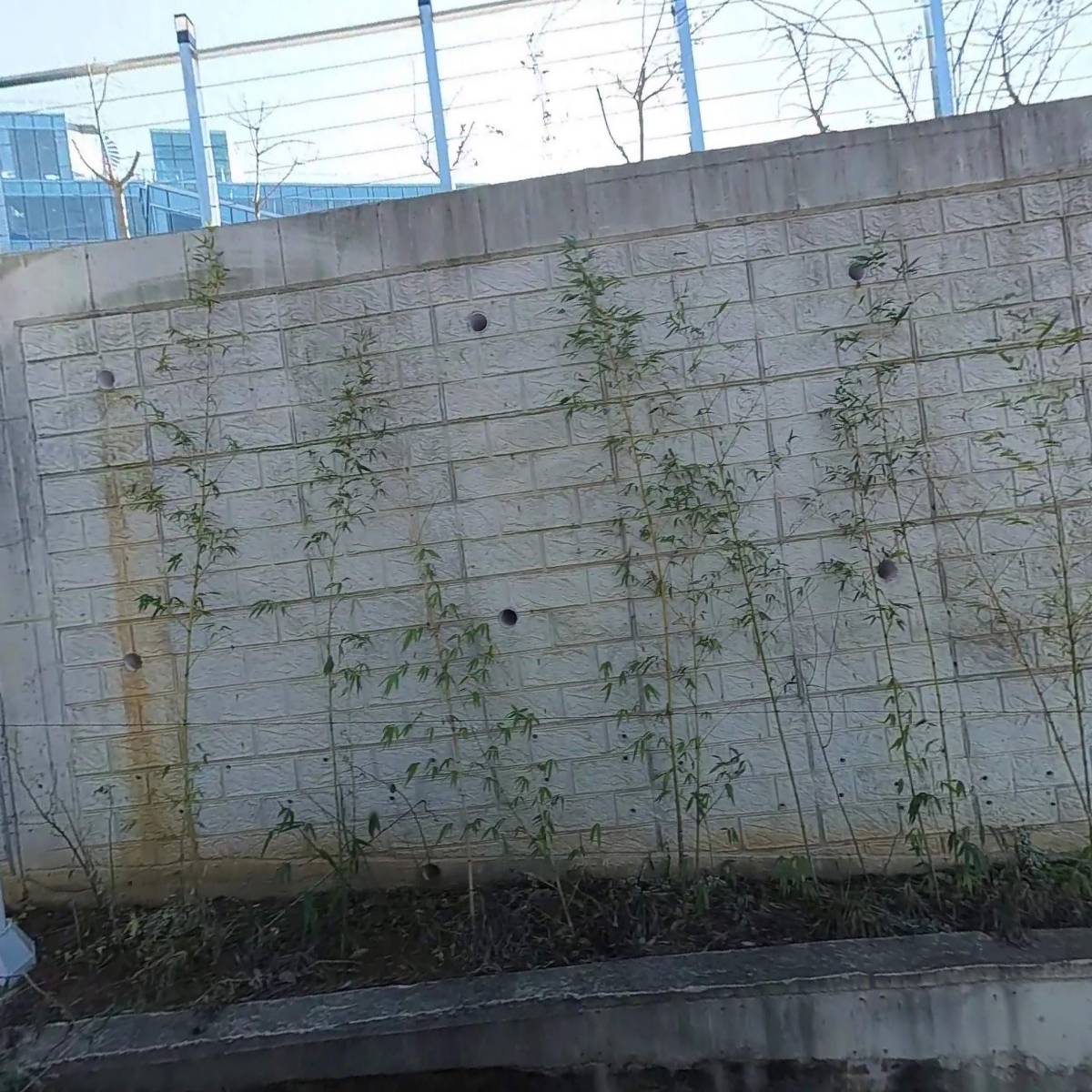 그랜드하브