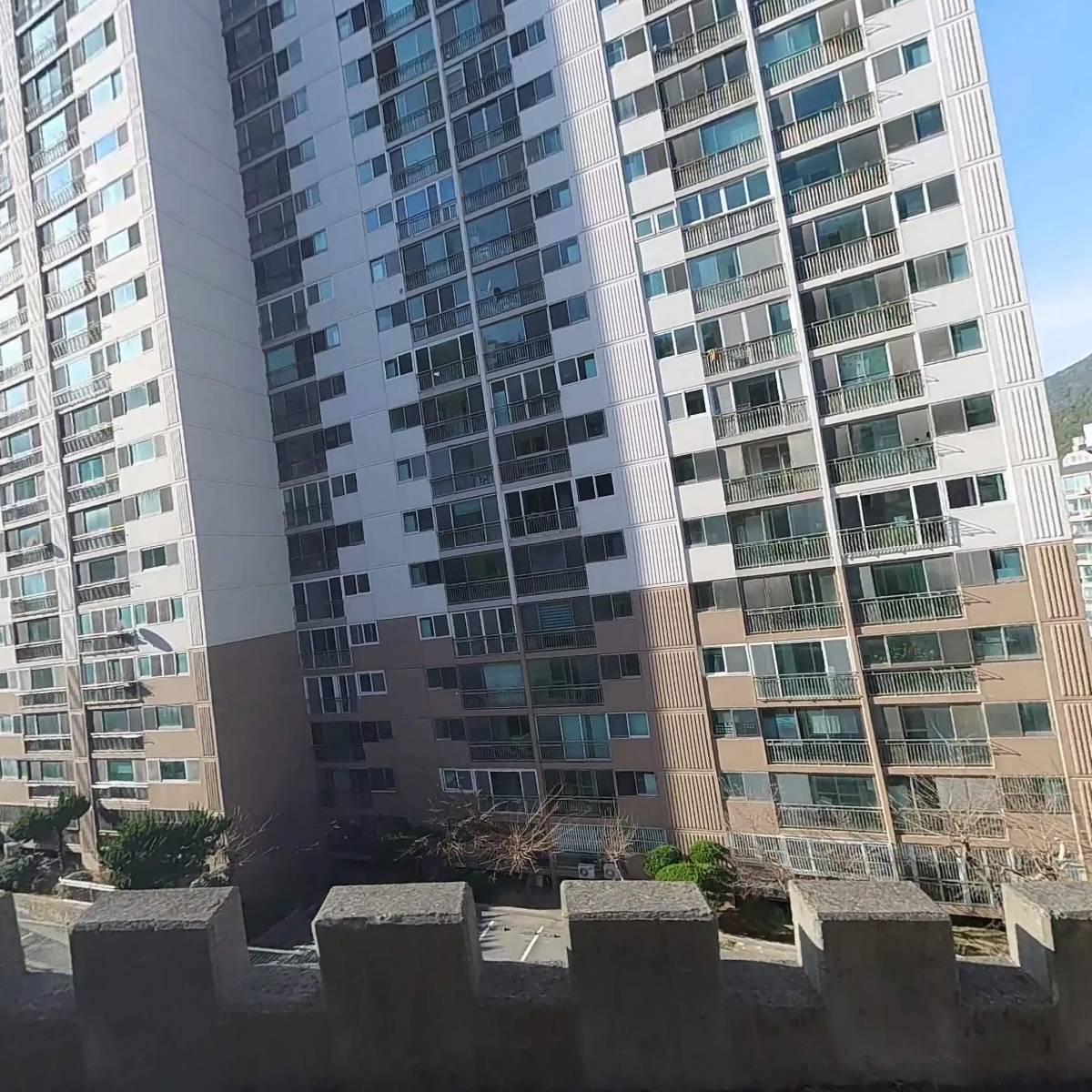 카페 만디
