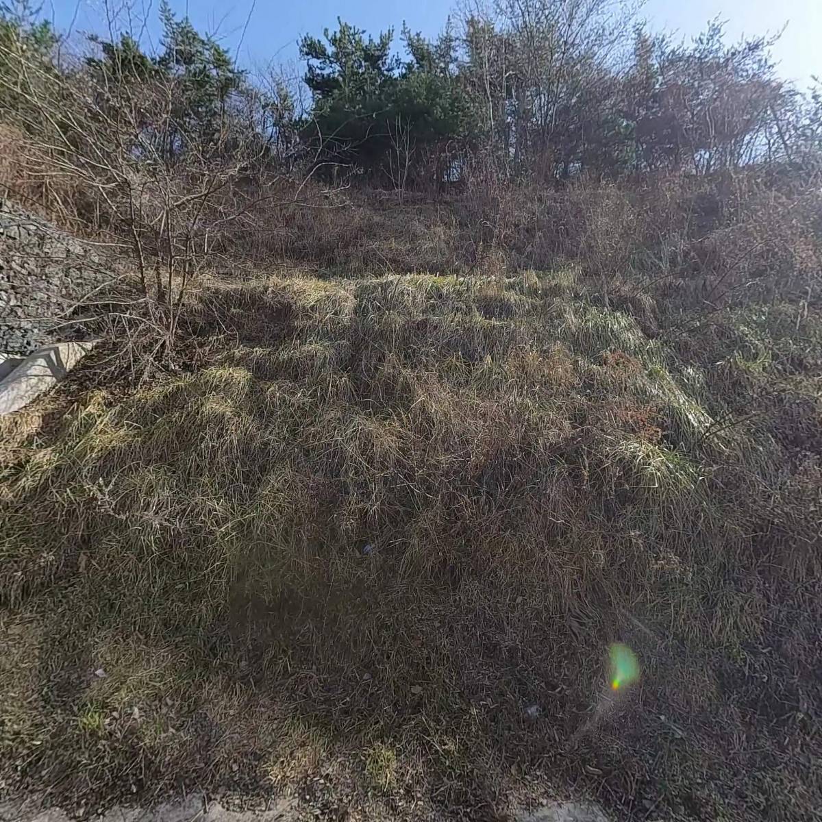 (주)엘제이인베스트