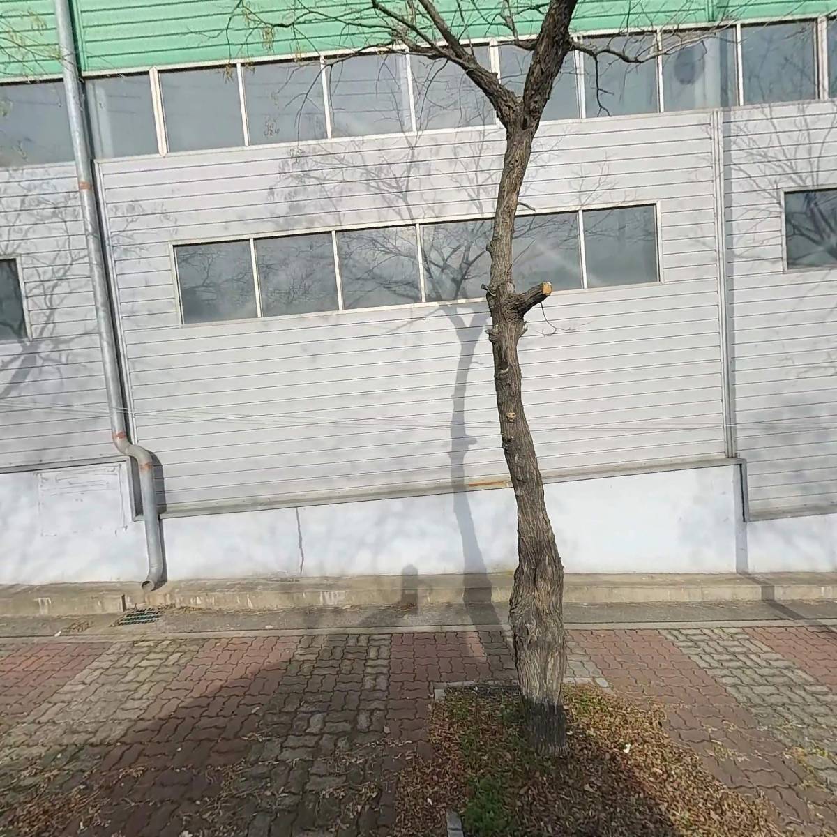 (주)에이엔오테크