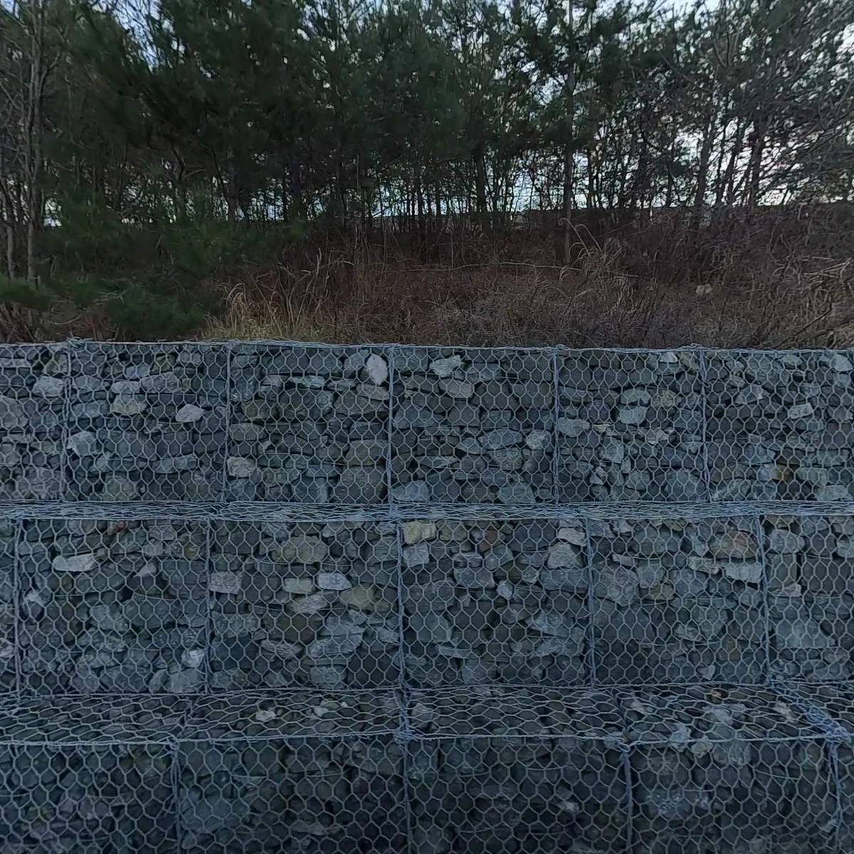 주식회사플루시스