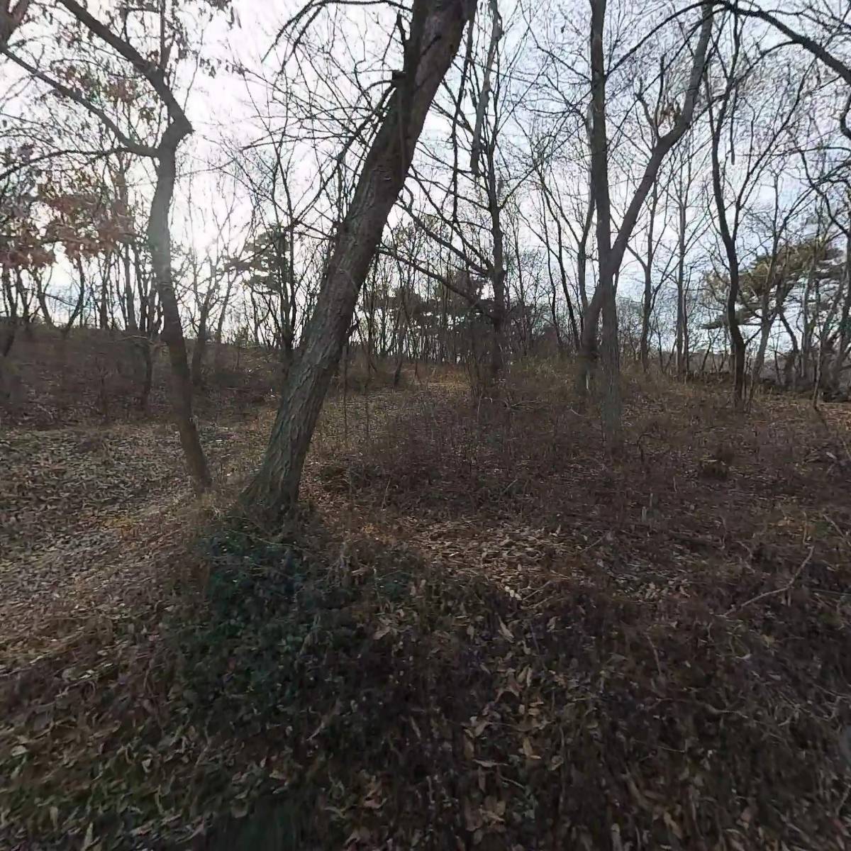 현대산업