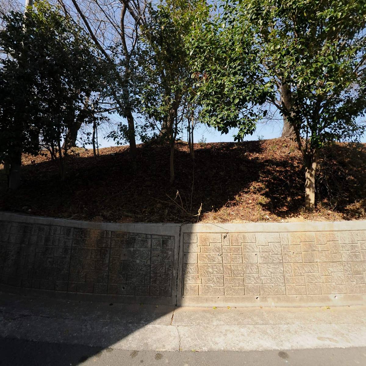 (사) 한국문인협회 고성지부