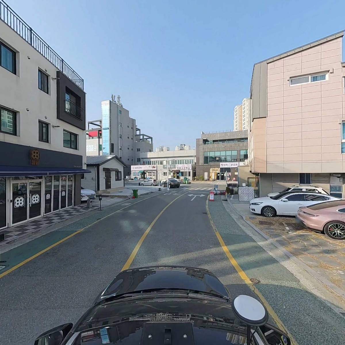 부산강아지분양 테디럽 명지본점_4