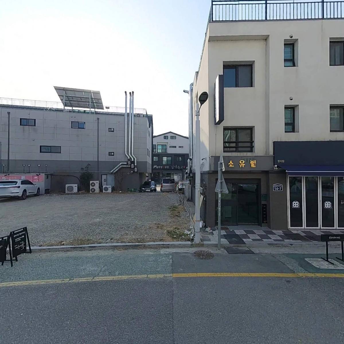 부산강아지분양 테디럽 명지본점_3