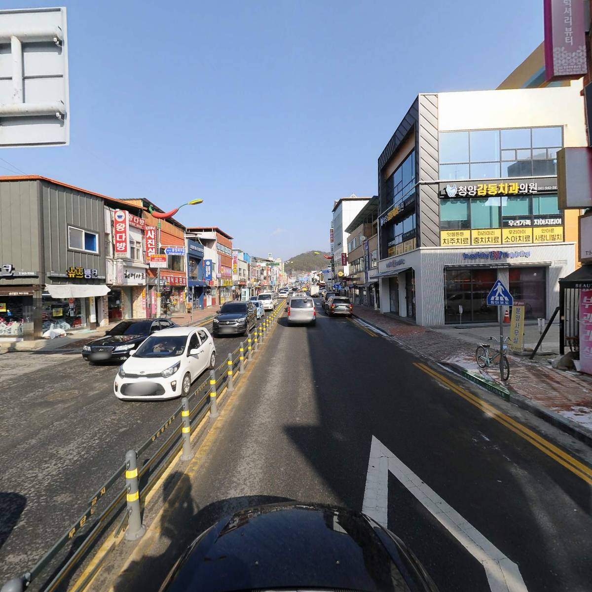 청양우거디_4