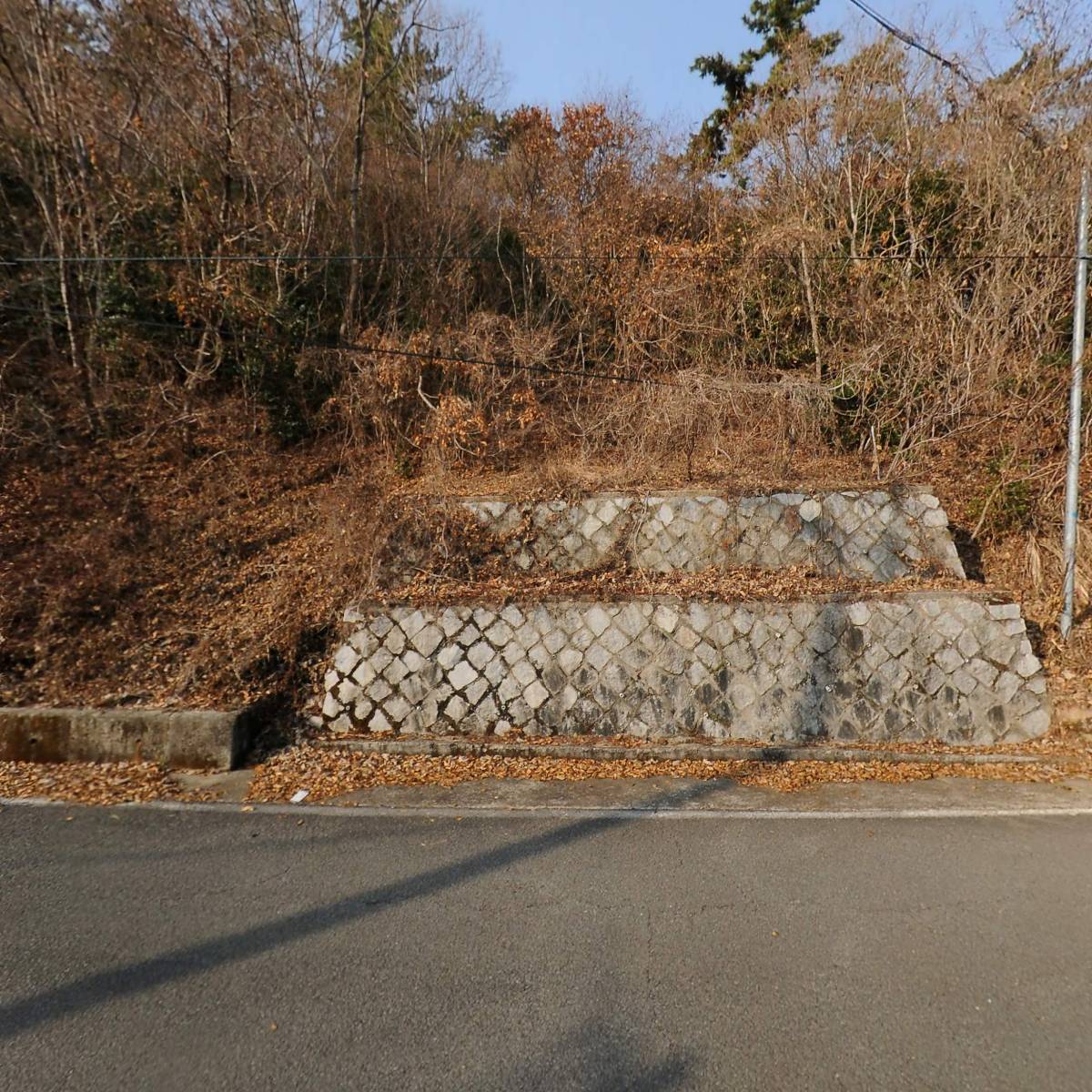 해맞이 바다캠핑_3