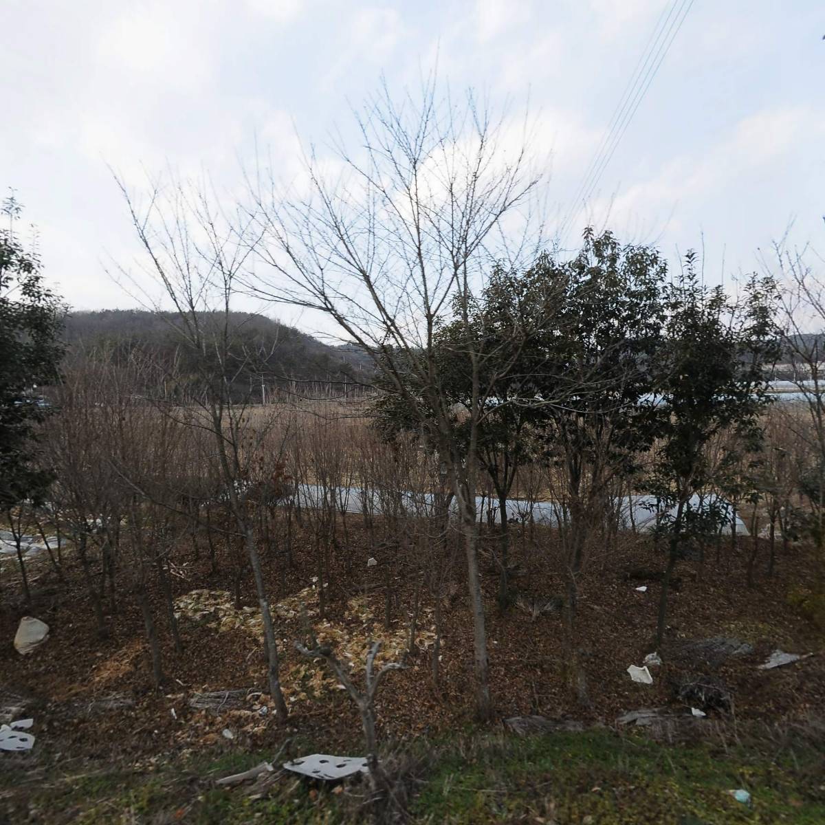설정냉동유통상사
