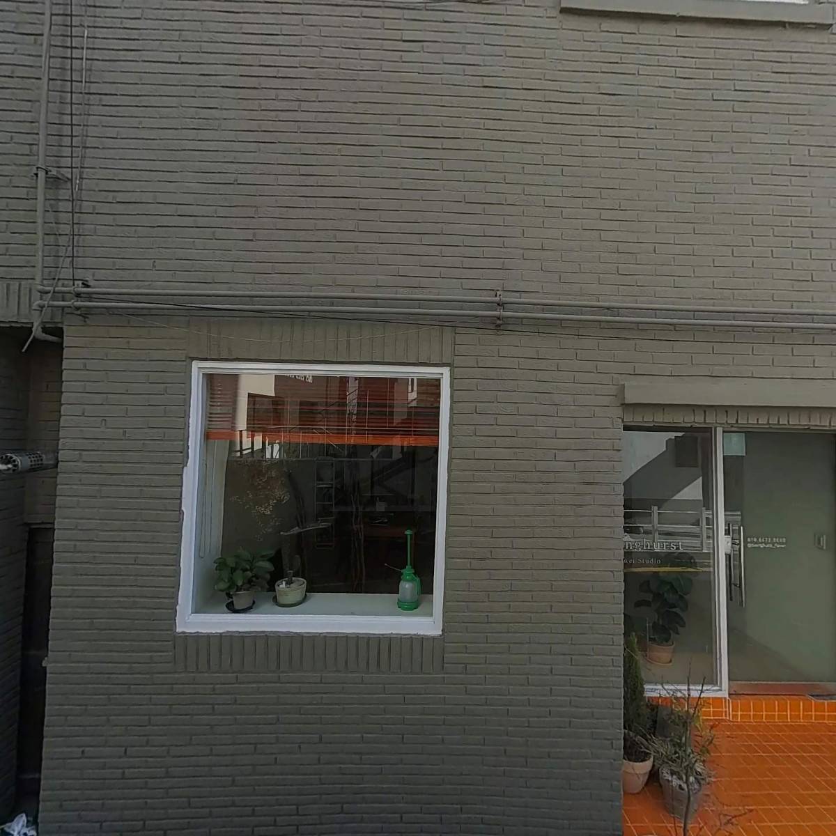 정든면