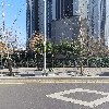 써머스베이커리_3