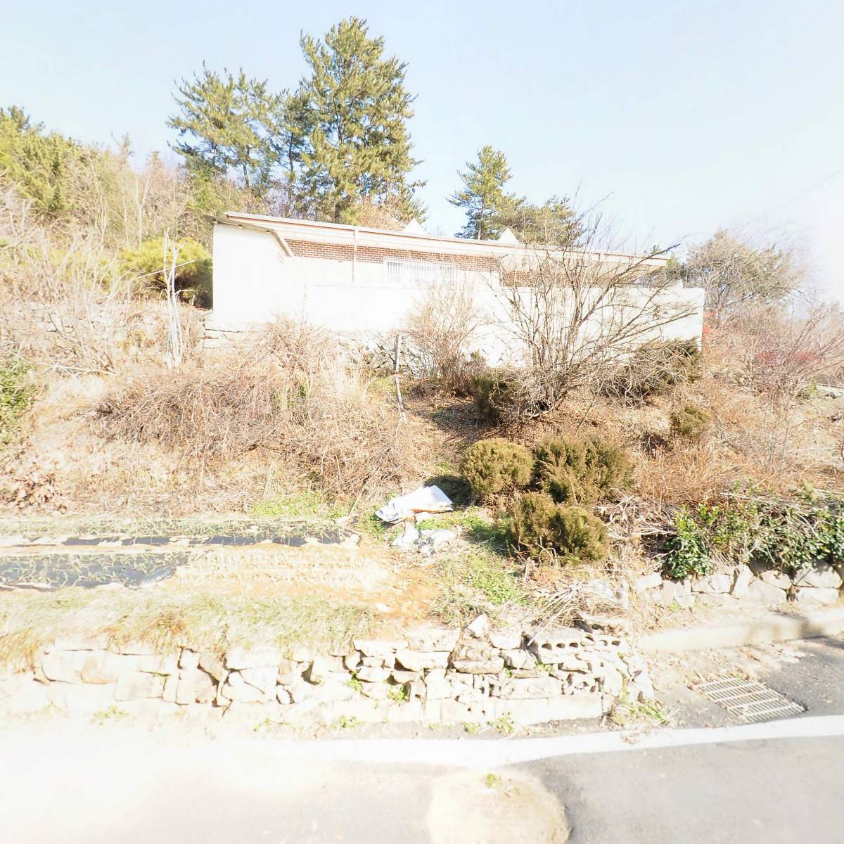 (주)고려에너지 고려주유소 서진주점_3