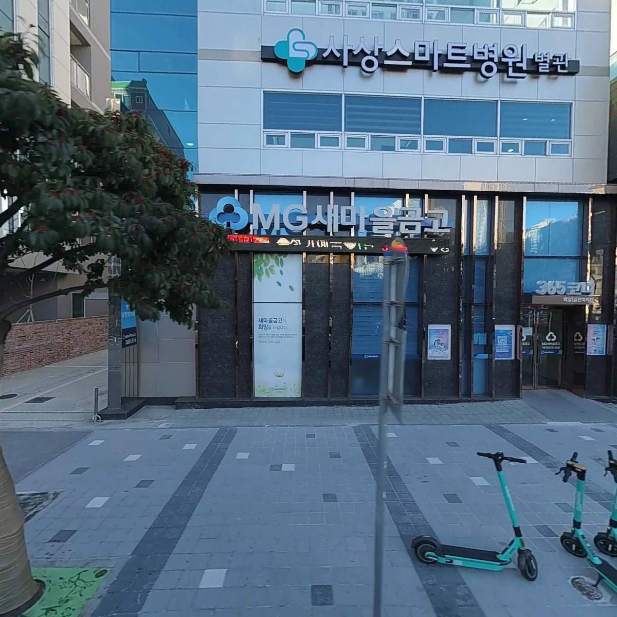 티엔에스인터내셔널
