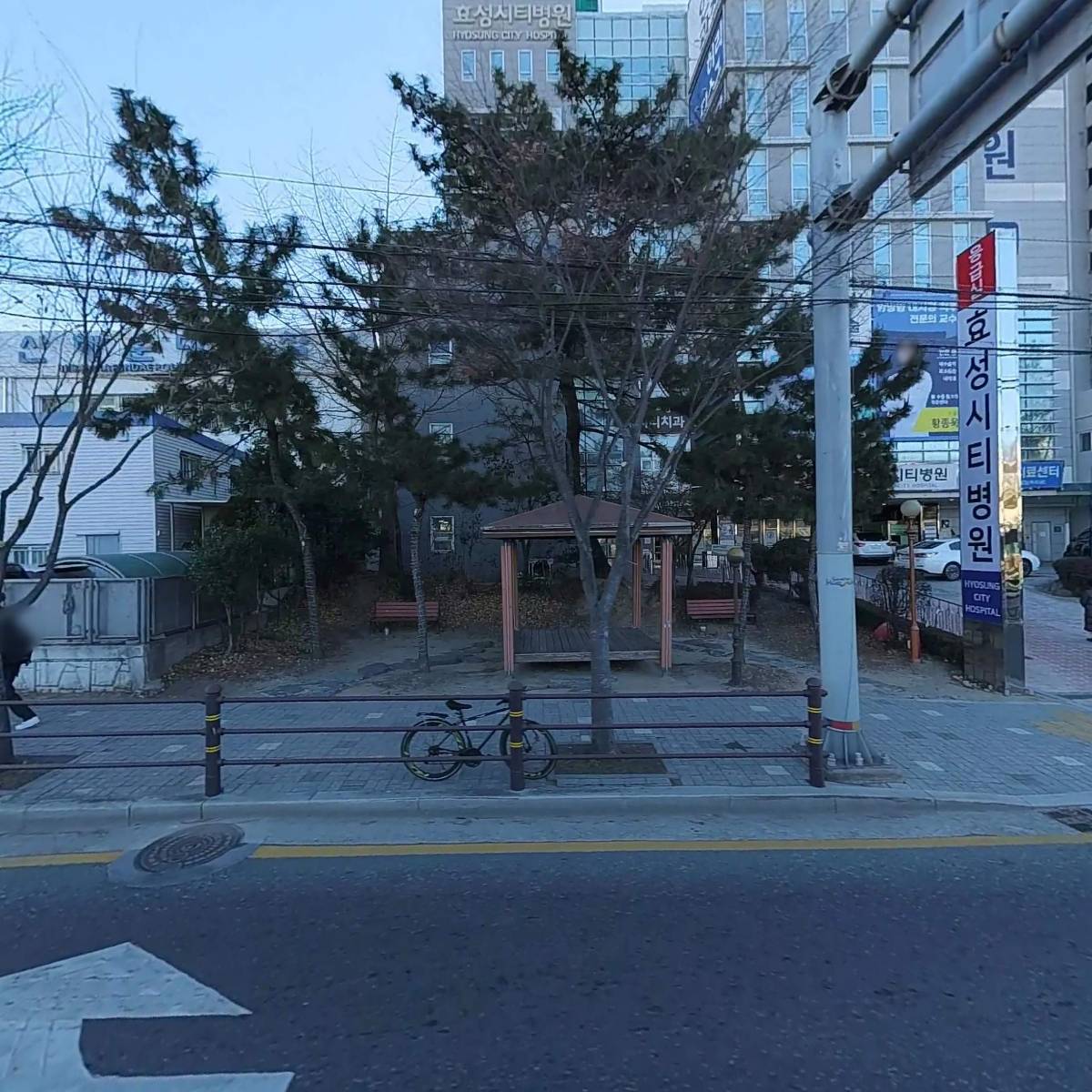 소나무약국