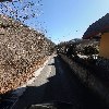 지리산꾸지뽕농장_2