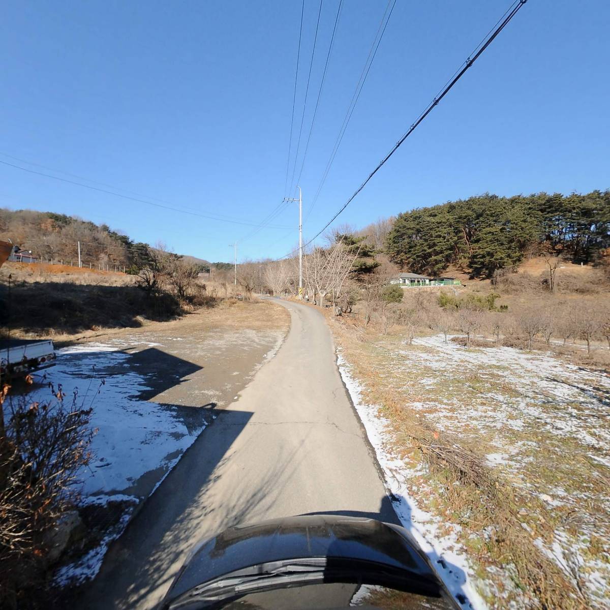고인돌 청양고추냉면축제 추진위원회_4