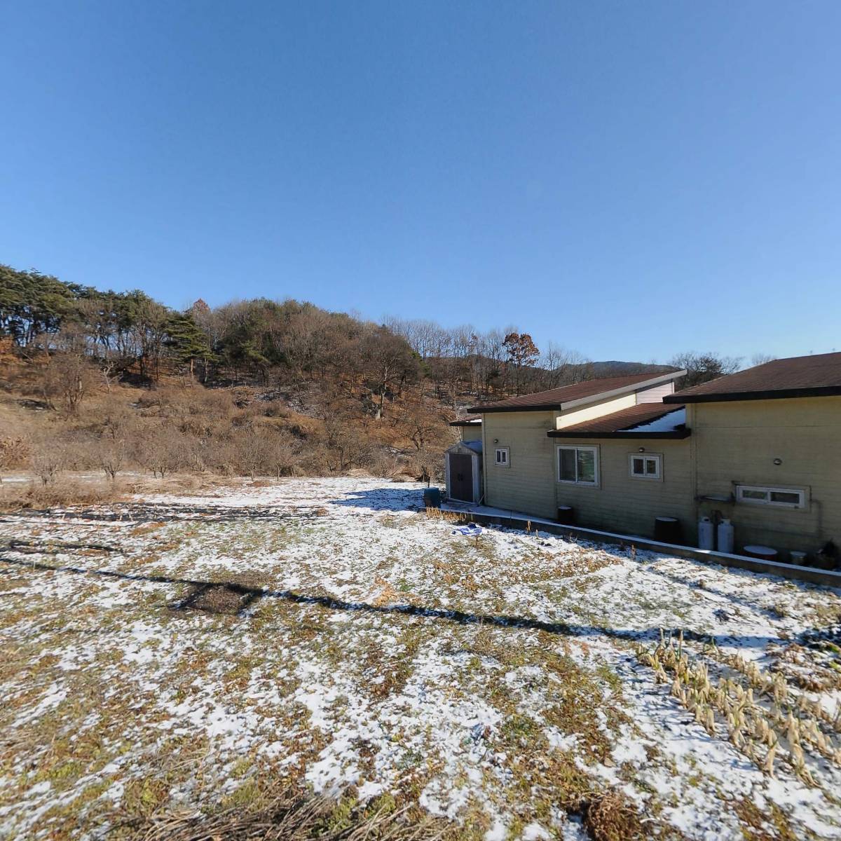 고인돌 청양고추냉면축제 추진위원회