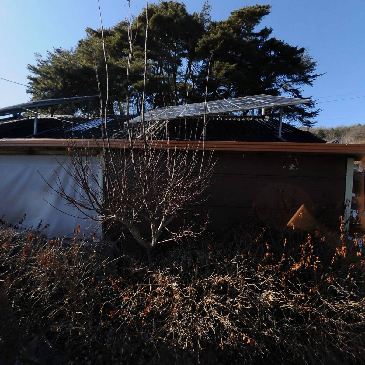 고인돌 청양고추냉면축제 추진위원회_3