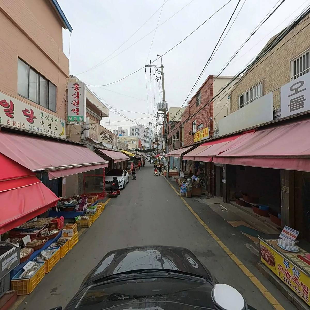 한국분재협회 부산시 지부_4