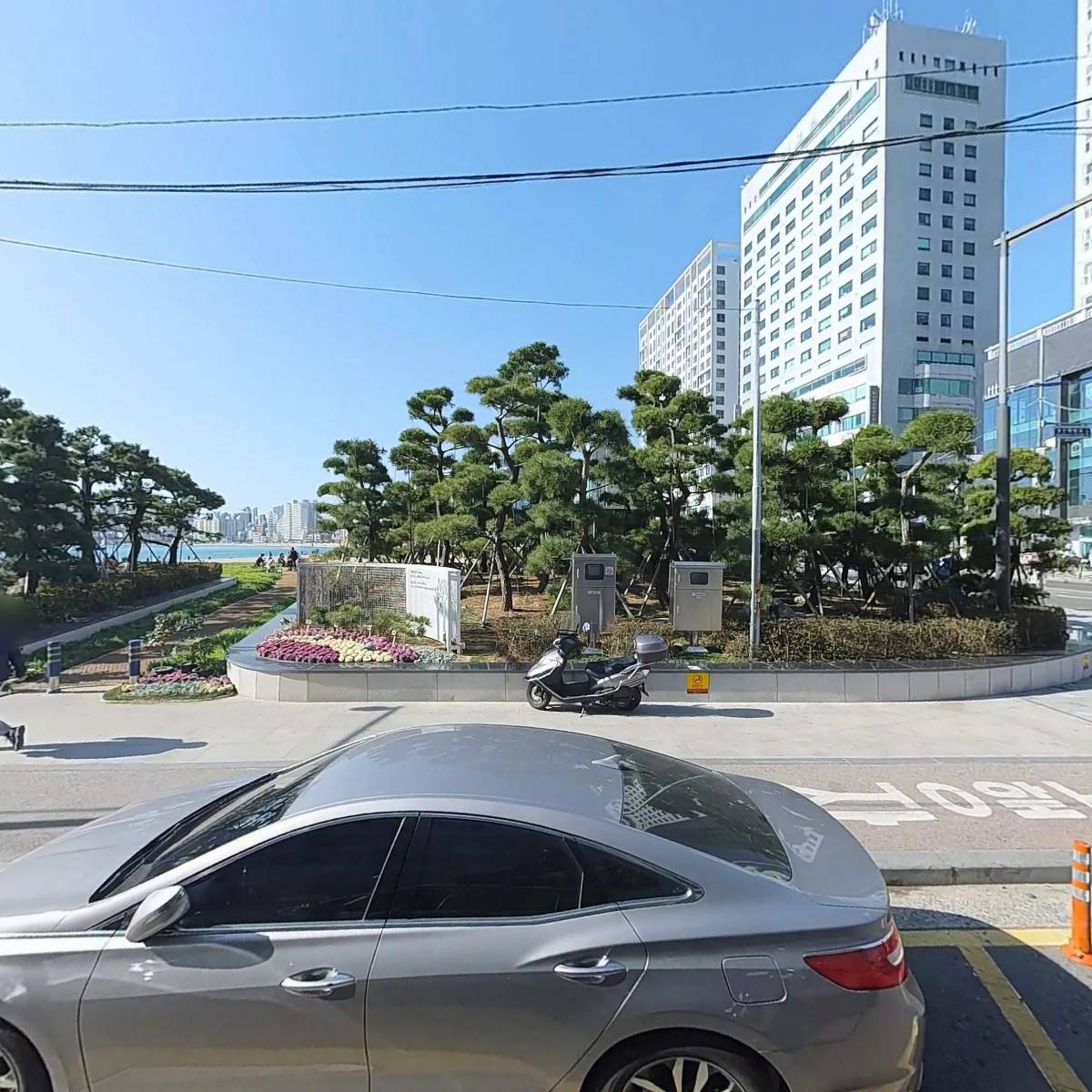 곰포횟집