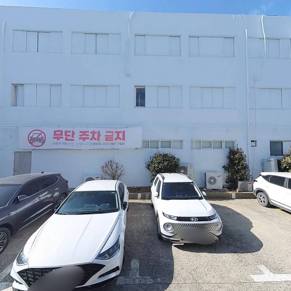 트리피네일