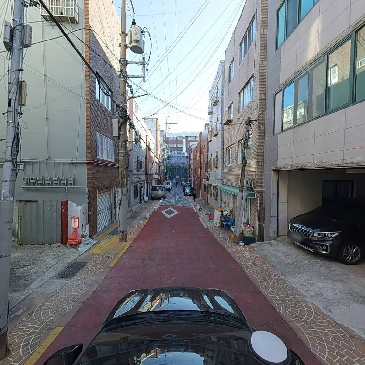 푸른동물병원_4