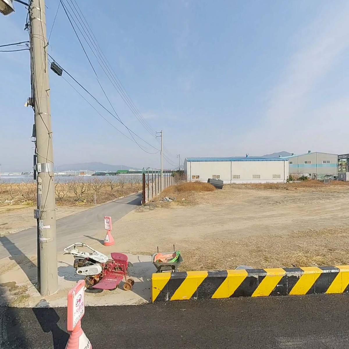 낭만송백