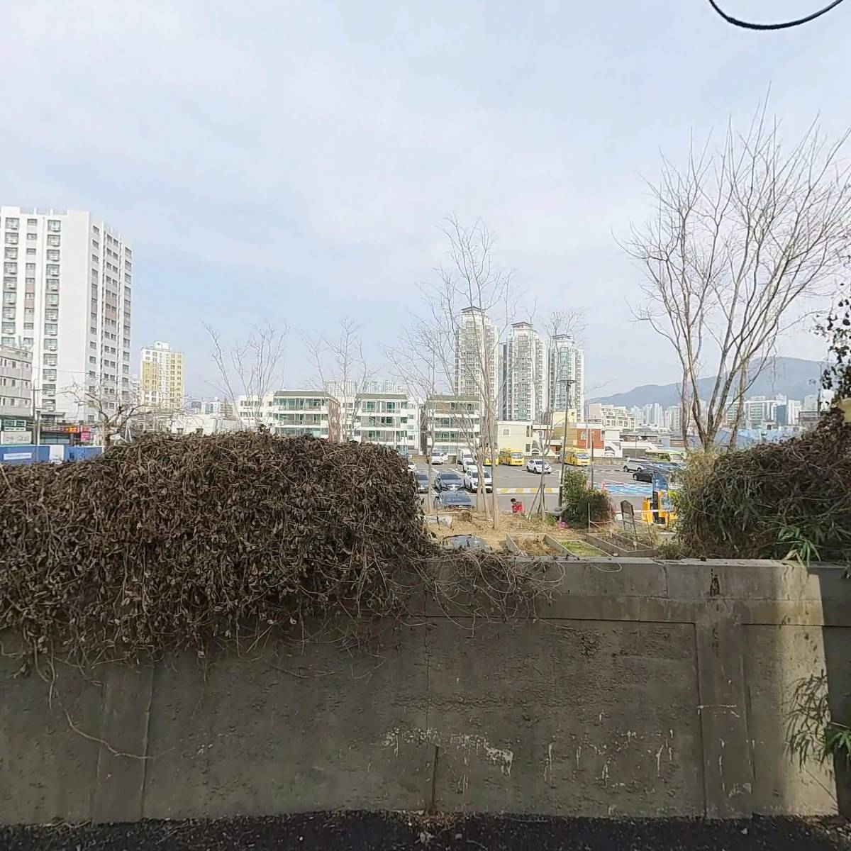 연산네오스
