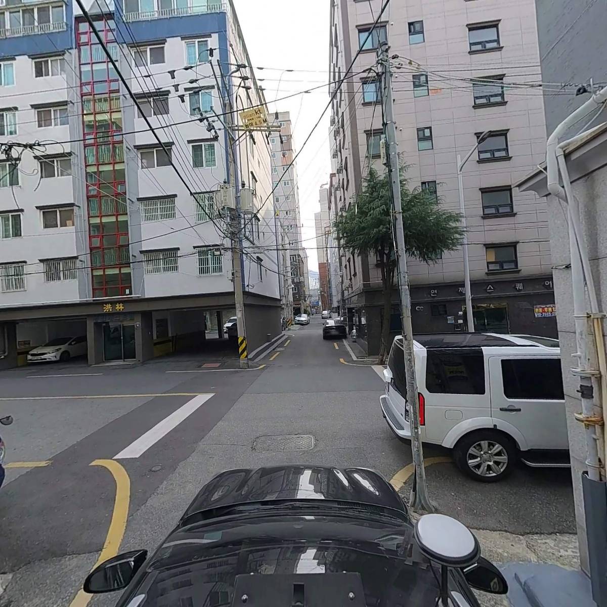 부산파충류샵 더사파리_4