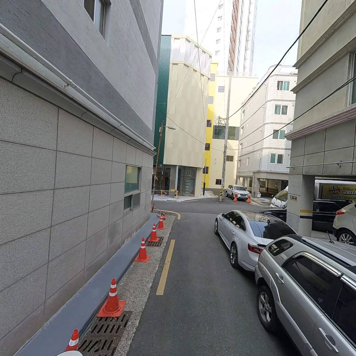 부산파충류샵 더사파리_2