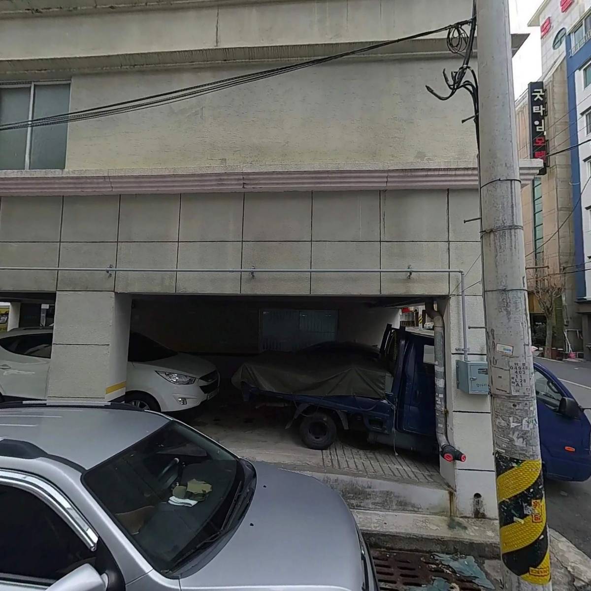 부산파충류샵 더사파리_3