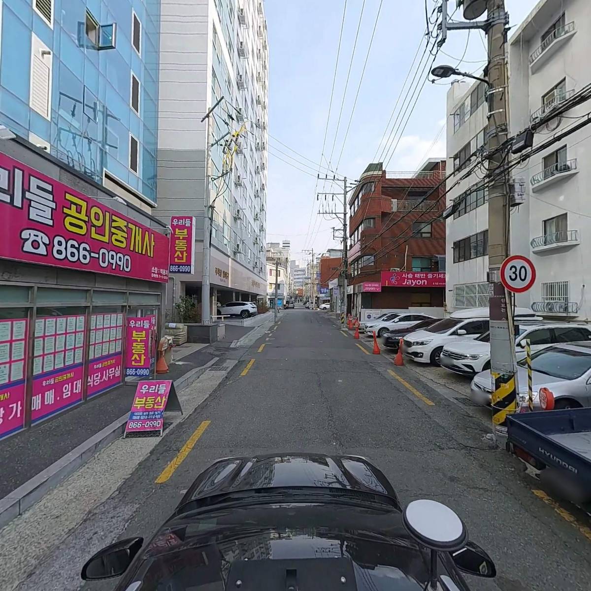 한국가로수보호(주)_4