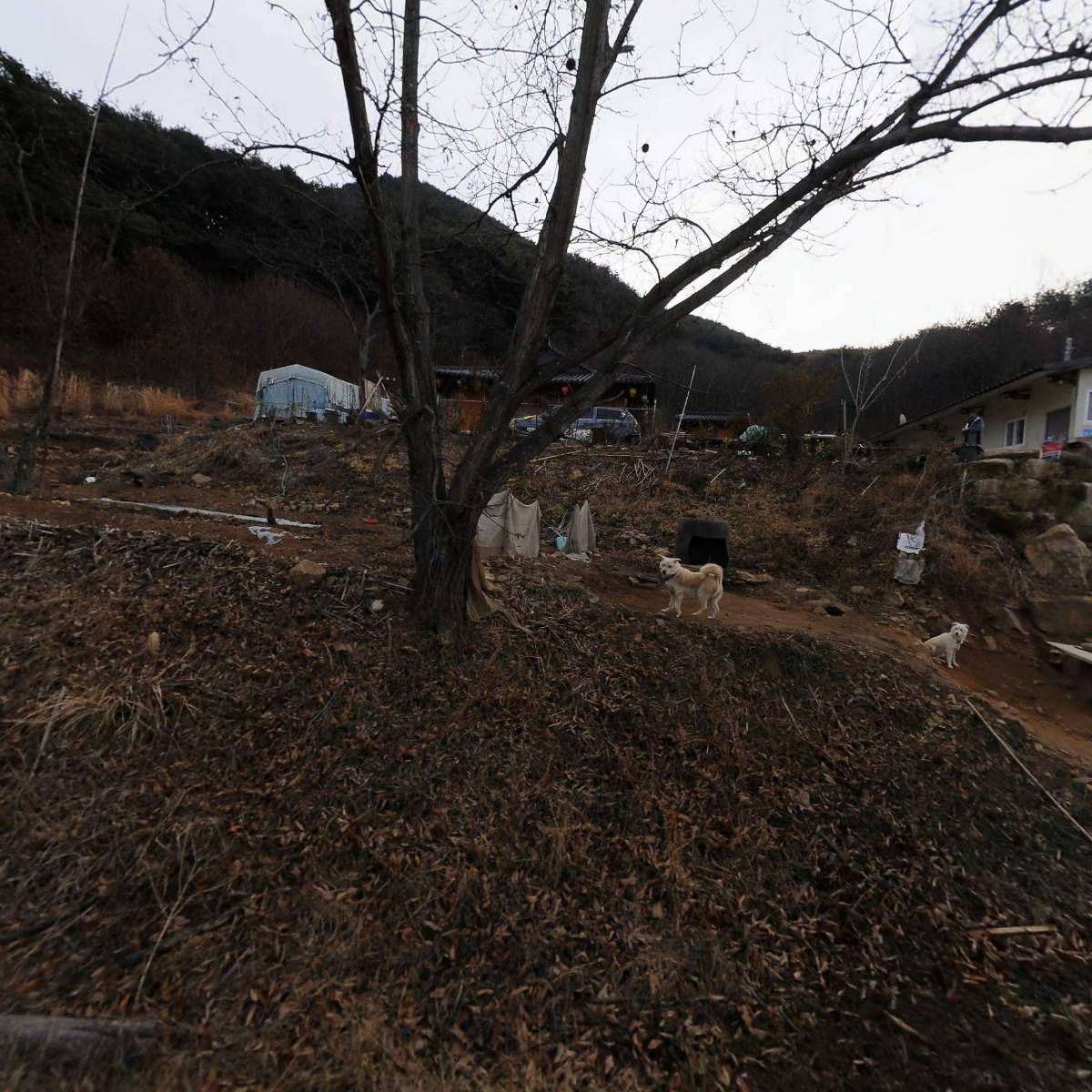대승불교조계종 필봉암