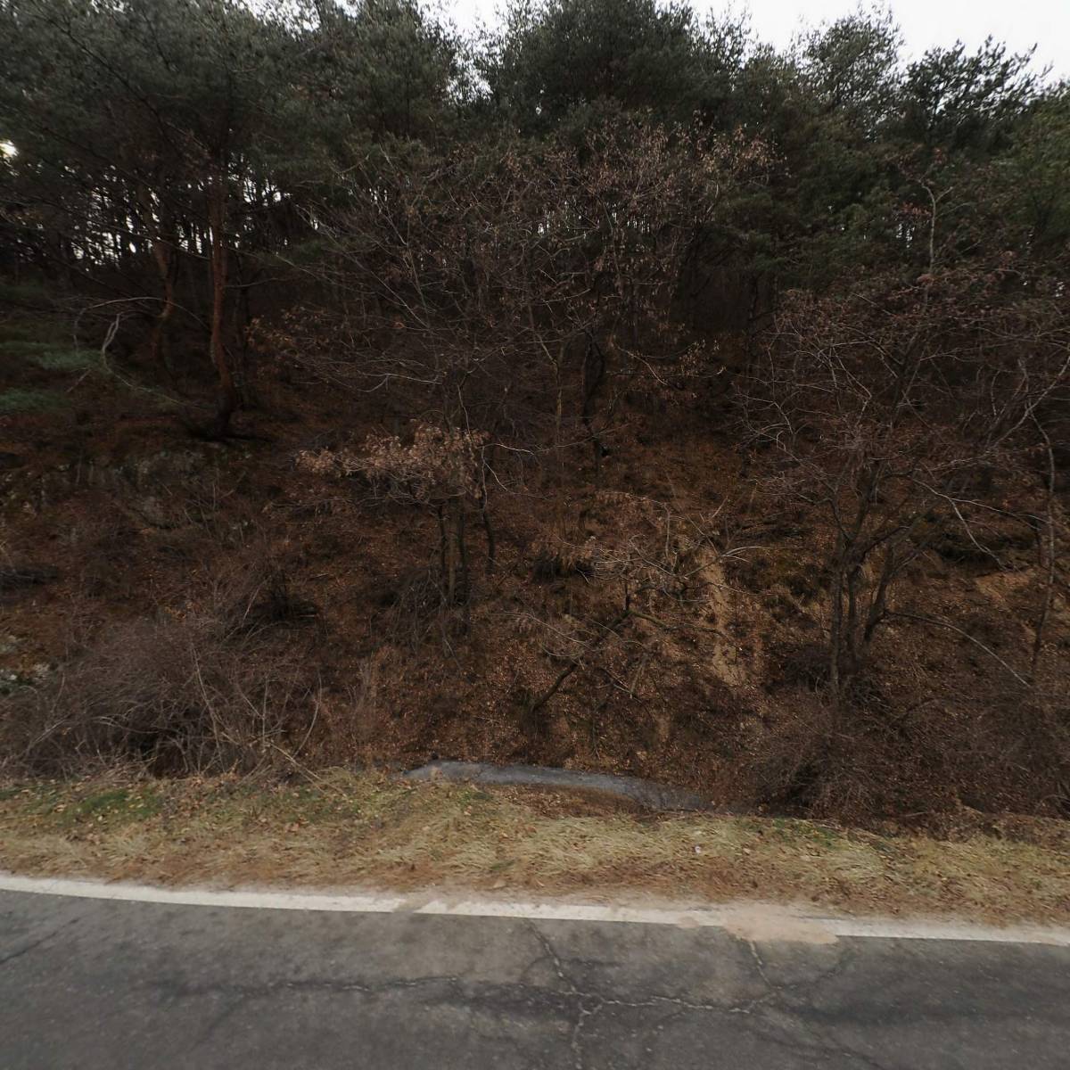 황매산관광농원_3