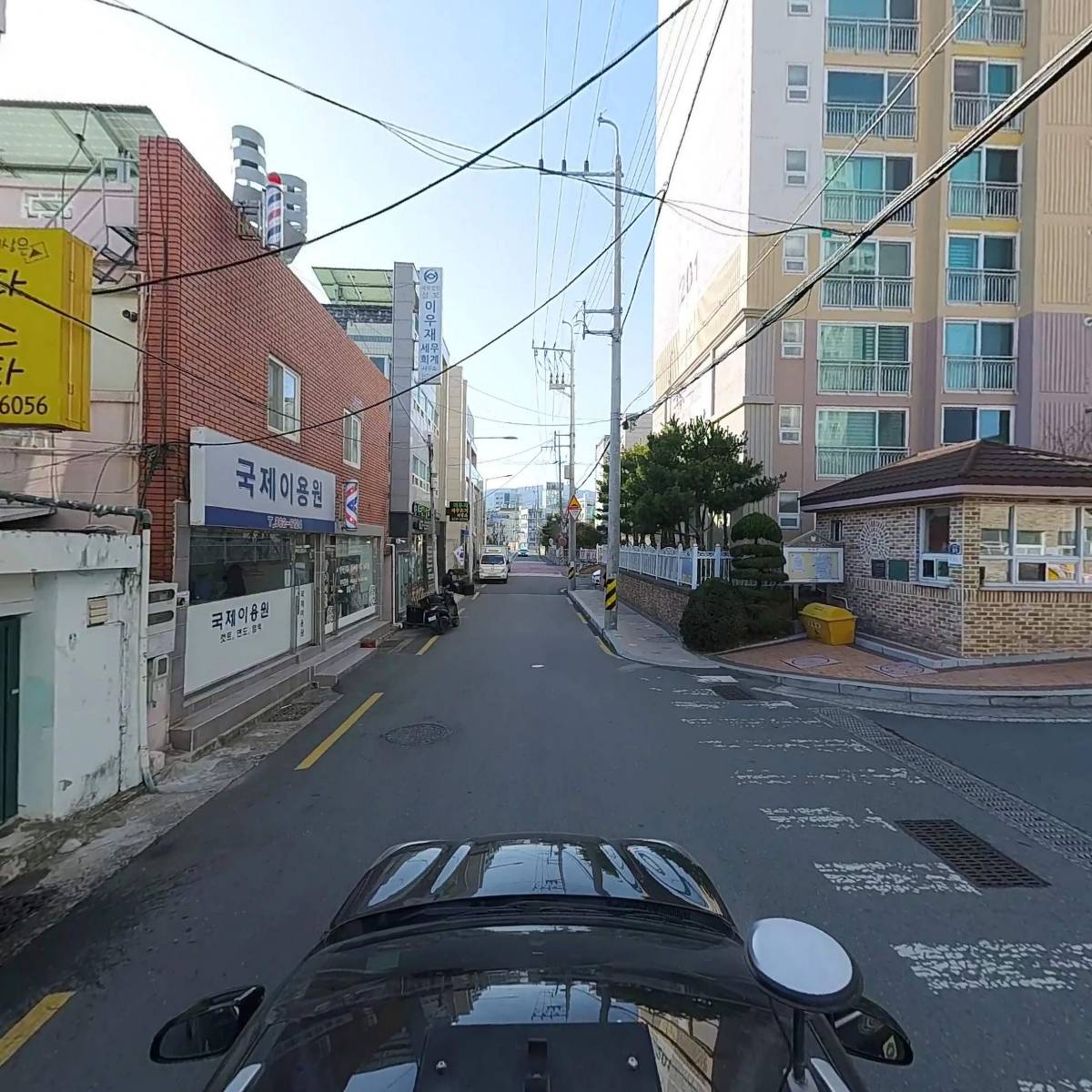 이상은 파스타_4
