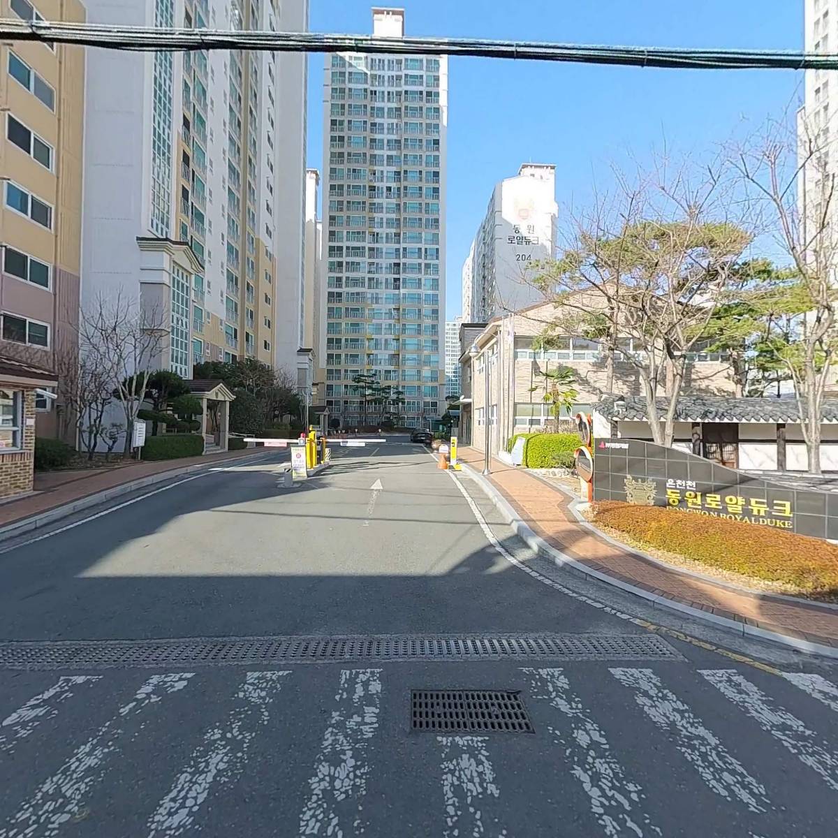 이상은 파스타