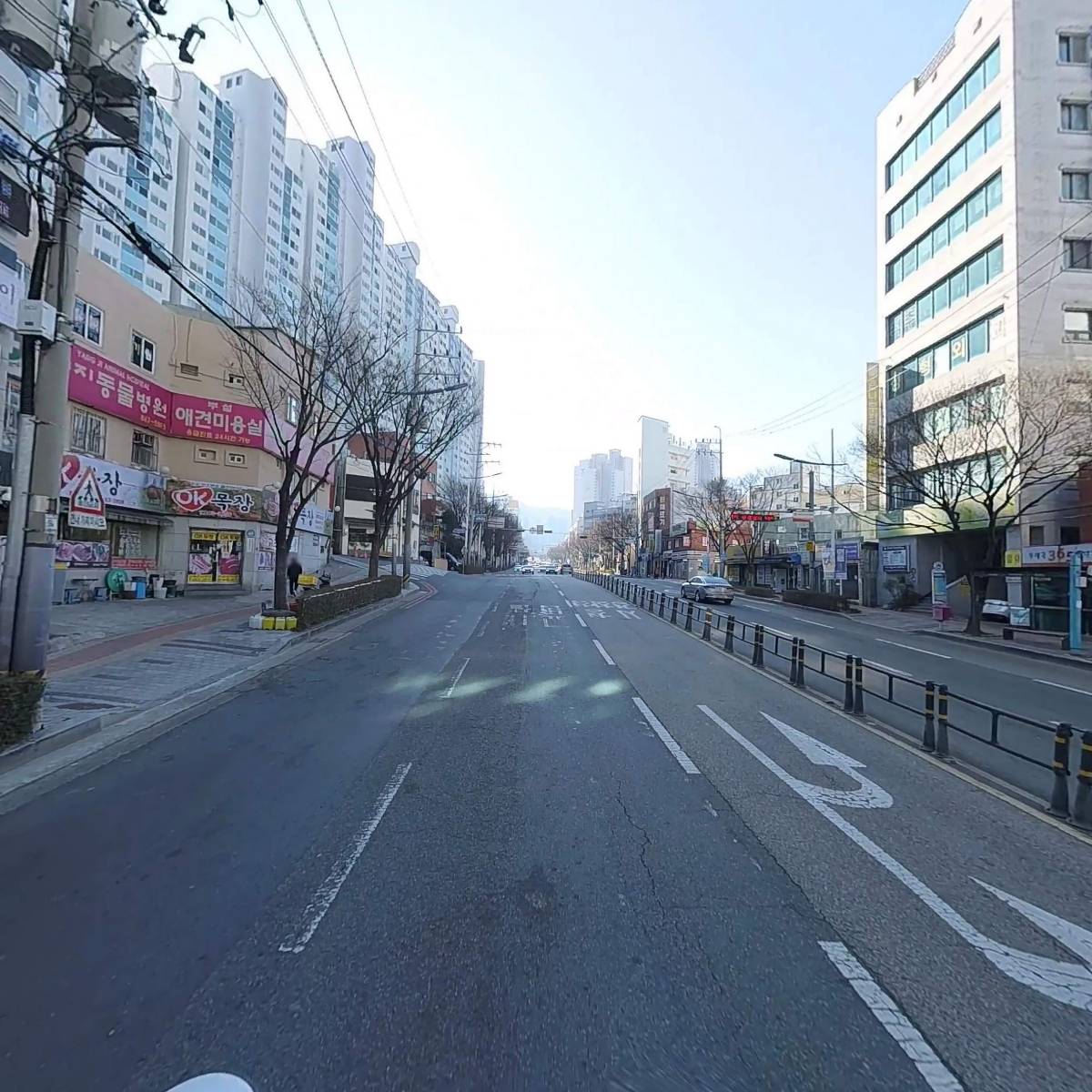 보담라이온스클럽_2