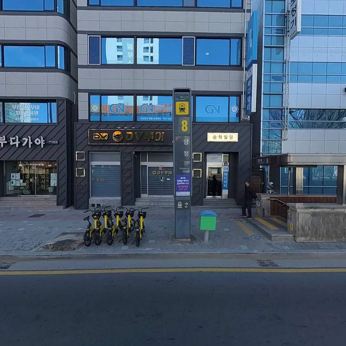 바디닥터