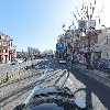 고구마_4
