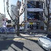 고구마