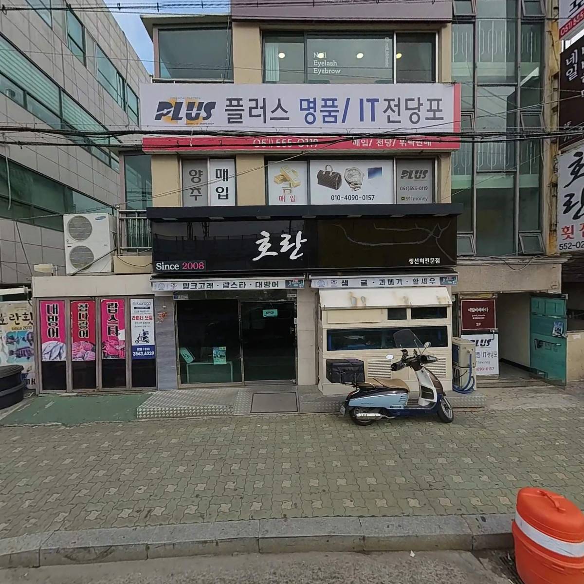 모즈