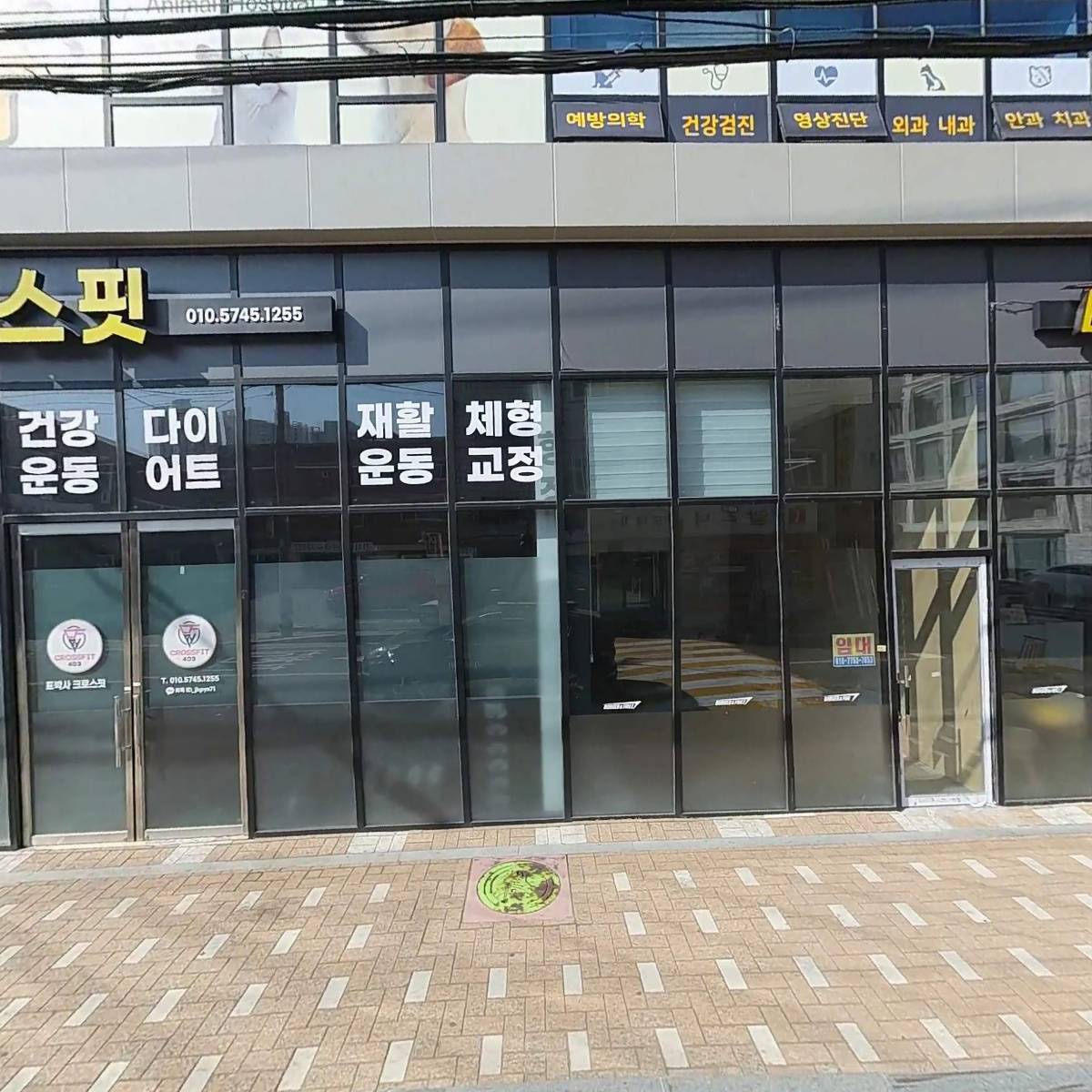 웰동물병원