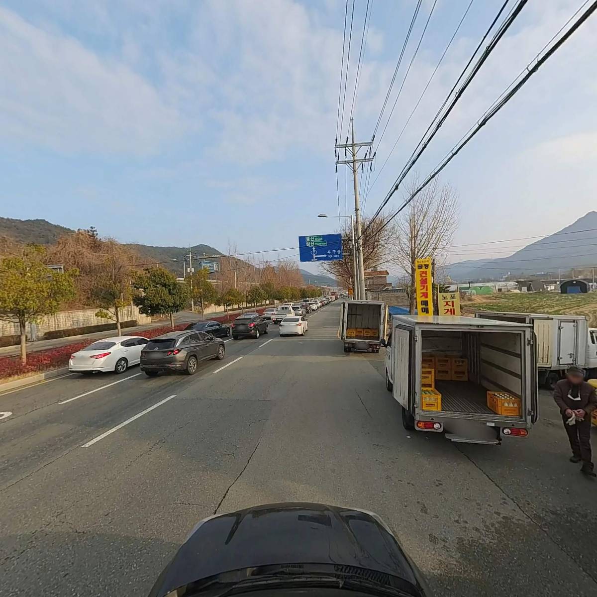에코 조경나무농원_4