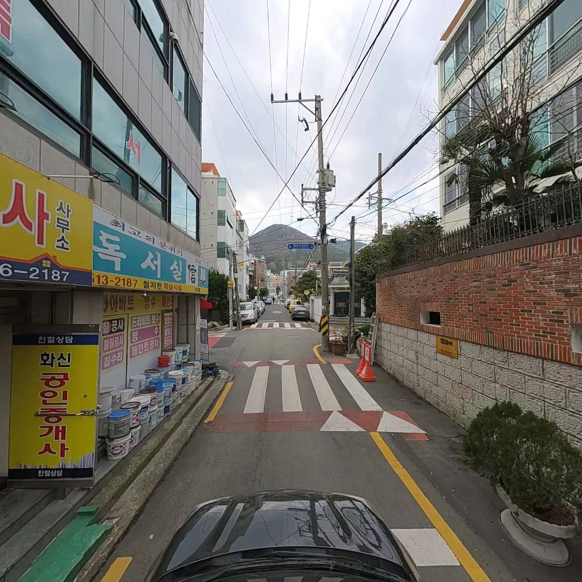 퍼플_4
