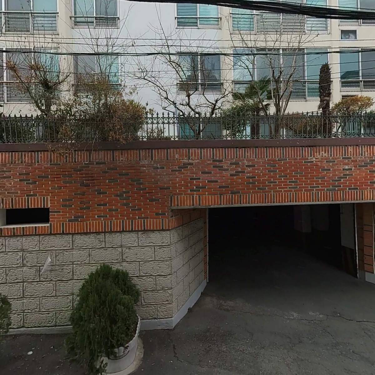 퍼플