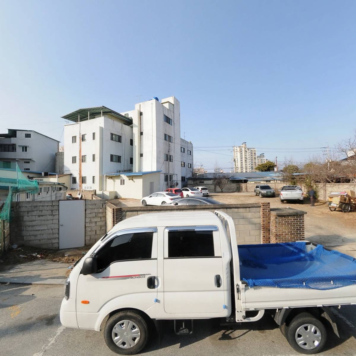 고려정형외과