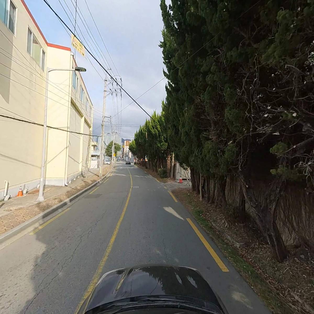 금양산 B/G_4